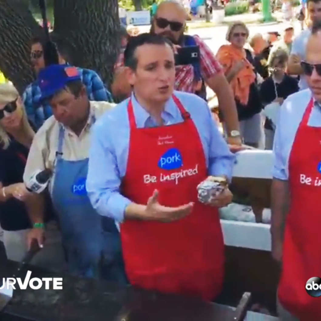 Ted Cruz & The Pork Lobbyists